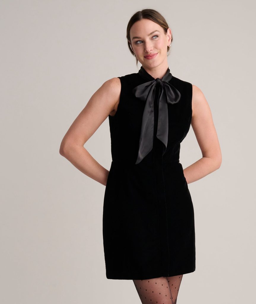 Velvet Fiona Mini Dress